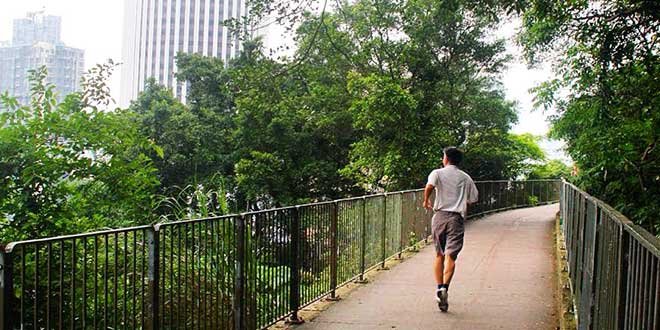meia maratona e como se preparar